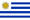 125px-Flag of Uruguay