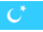 Flag of uyghurstan cg.svg