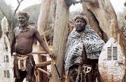 Zoulous (Shakaland)