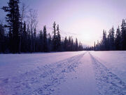 Snow-in-road-wallpaper