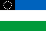 Bandera de la Provincia del Río Negro
