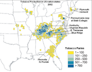 Tobacco farms