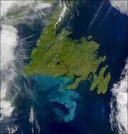Newfoundland Sat Wiki