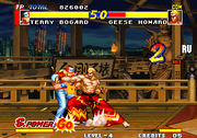 Fatal Fury