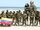 Infantes de marina colombia.jpg