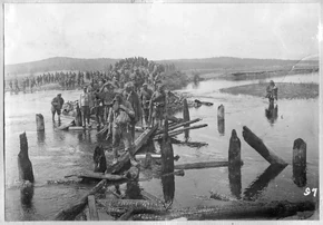 2c96b70316e769d1584375512