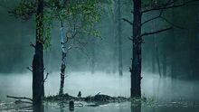 Lets-travel-to-russia-with-alexei-mikhailov-mystic-swamp