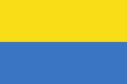 Альтернативный флаг Украины