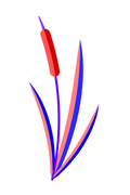Reeds-caucus-logo