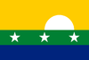 Bandera de Estado Nueva Esparta (Sexta República)