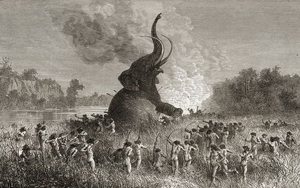 Woolly Mammoth Hunt