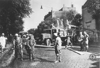 Desratización 1946