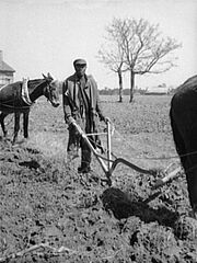 Sharecropper plowing loc