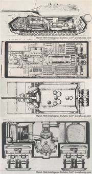 Maus Cross-Section