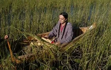 OjibweWildRice.png (223 KB) Harvesting wild rice, one of the staple dishes of Superior