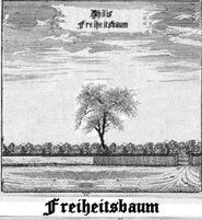 Der Philadelphia Freiheitsbaum im städtischen Pflanzengarten, Darstellung 1742