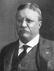 Theodore-roosevelt