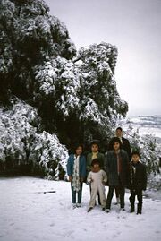 Atizapan 1967 nieve