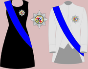 Ceremonial and protocol clothing protector