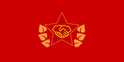 Flag of CSTO 1983DD