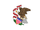 Banderas de Illinois
