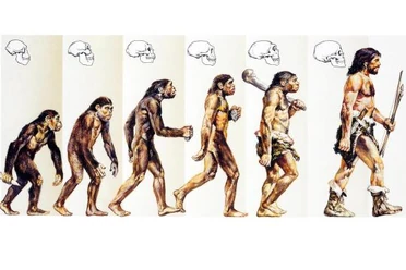 Entstehung des Menschen wurde verhindert