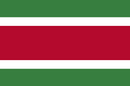 Альтернативный флаг Суринама