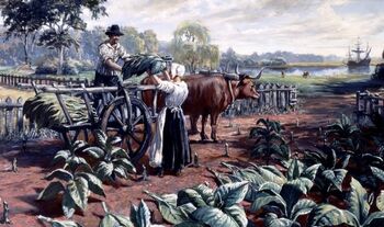 Tobacco-Haul-677x400