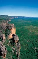 Kakadu
