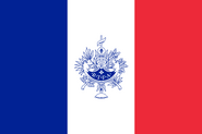 Flag of the RTFA