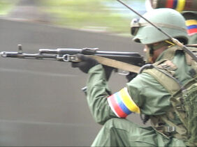 Soldado de Venezuela