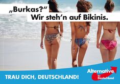 Wahlplakat-afd