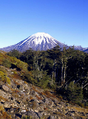 Tongariro