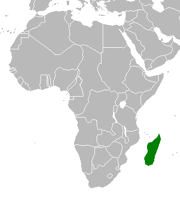 Madagascar
