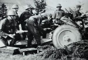 Czechoslovak mountain gun in Slovakia.