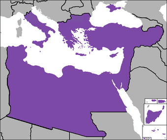 Roman Empire Principia Moderni Iii Map Game Alternative History Fandom