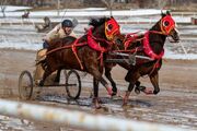200208-chariot-racing-utstories-6-min