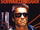 The Terminator movie poster.png