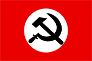 Flag of the National Bolshevik Party