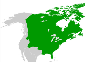 Карта страны