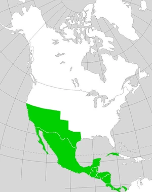 The country of Mexico.