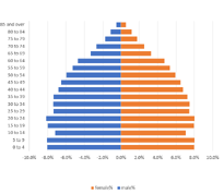 Age pyramid of New Holland in 2023
