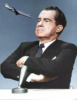 SturzflugaufNixon