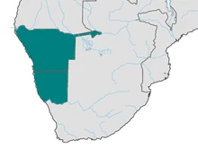 África del Sudoeste Alemana