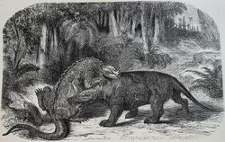 Iguanodon versus Megalosaurus