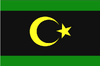 540px-Bandera de Khiva 1917-1920.svg