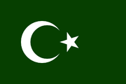 Bosnian Muslim Flag