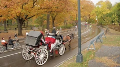 A photo taken of autumn in Torrington, showing a typical scene of the streets in modern America. Some people travel by horse-drawn carriage, some by bicycle, as seen in the photo. Certain government officials (especially in Torrington) will occasionally use refurbished classic cars for special occasions. As more petroleum sources become available again, and biofuels emerge, cars are very gradually starting to become more common, esp. among the wealthy.