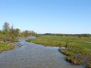 Rzadza