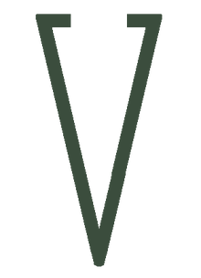 VVitaminLogo